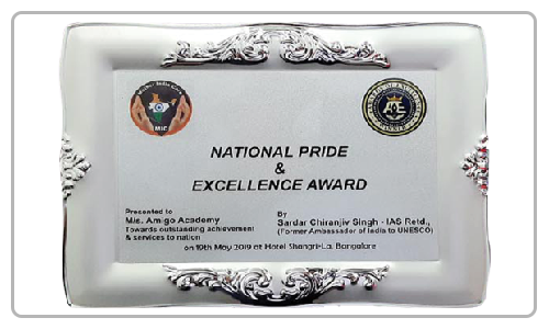 National Pride and Excellence award